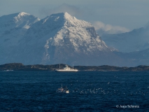 2025-Lofoten-Diashow-110-von-597