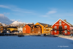 2025-Lofoten-Diashow-114-von-597