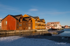 2025-Lofoten-Diashow-115-von-597