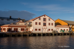 2025-Lofoten-Diashow-118-von-597