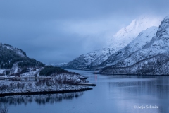 2025-Lofoten-Diashow-12-von-597
