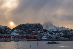 2025-Lofoten-Diashow-124-von-597