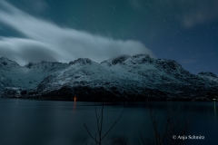 2025-Lofoten-Diashow-126-von-597