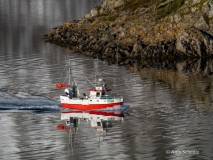 2025-Lofoten-Diashow-137-von-597