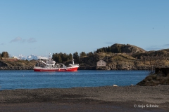 2025-Lofoten-Diashow-142-von-597
