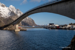 2025-Lofoten-Diashow-144-von-597