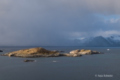 2025-Lofoten-Diashow-146-von-597