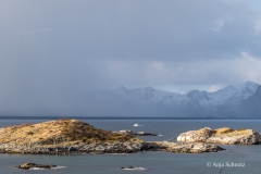 2025-Lofoten-Diashow-148-von-597