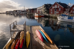 2025-Lofoten-Diashow-151-von-597