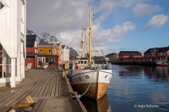 2025-Lofoten-Diashow-153-von-597