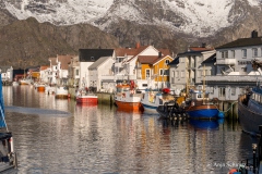 2025-Lofoten-Diashow-160-von-597