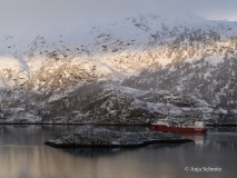2025-Lofoten-Diashow-18-von-597