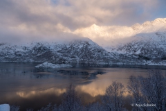 2025-Lofoten-Diashow-193-von-597
