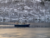 2025-Lofoten-Diashow-194-von-597