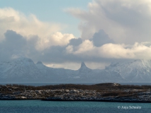 2025-Lofoten-Diashow-229-von-597