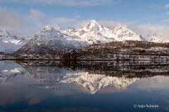2025-Lofoten-Diashow-235-von-597