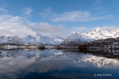 2025-Lofoten-Diashow-237-von-597