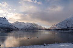 2025-Lofoten-Diashow-241-von-597