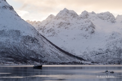 2025-Lofoten-Diashow-242-von-597