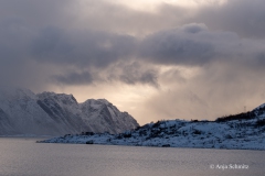 2025-Lofoten-Diashow-251-von-597