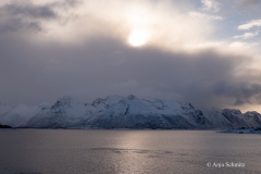 2025-Lofoten-Diashow-252-von-597