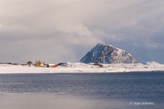 2025-Lofoten-Diashow-255-von-597