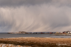 2025-Lofoten-Diashow-270-von-597