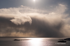 2025-Lofoten-Diashow-276-von-597