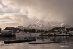 2025-Lofoten-Diashow-29-von-597
