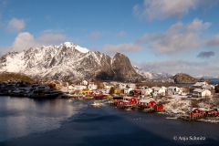 2025-Lofoten-Diashow-294-von-597