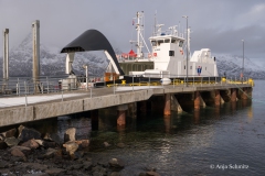 2025-Lofoten-Diashow-30-von-597