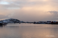 2025-Lofoten-Diashow-304-von-597
