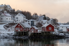 2025-Lofoten-Diashow-305-von-597