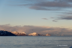 2025-Lofoten-Diashow-307-von-597