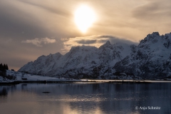 2025-Lofoten-Diashow-318-von-597