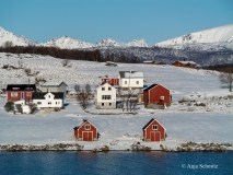 2025-Lofoten-Diashow-324-von-597