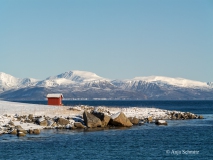 2025-Lofoten-Diashow-328-von-597