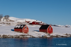2025-Lofoten-Diashow-329-von-597