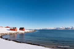 2025-Lofoten-Diashow-331-von-597