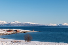 2025-Lofoten-Diashow-333-von-597