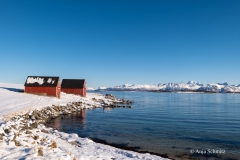 2025-Lofoten-Diashow-335-von-597