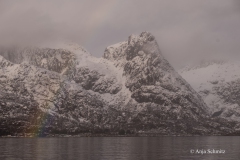 2025-Lofoten-Diashow-34-von-597