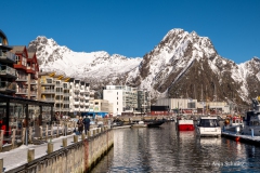2025-Lofoten-Diashow-342-von-597