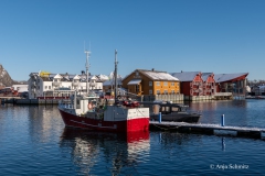 2025-Lofoten-Diashow-345-von-597