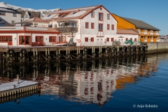 2025-Lofoten-Diashow-351-von-597