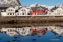 2025-Lofoten-Diashow-353-von-597