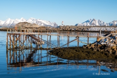 2025-Lofoten-Diashow-354-von-597