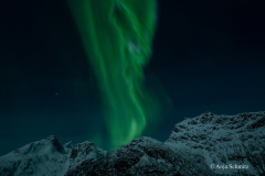 2025-Lofoten-Diashow-359-von-597