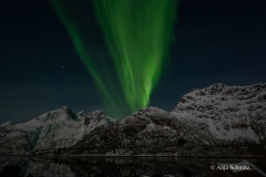 2025-Lofoten-Diashow-360-von-597