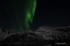 2025-Lofoten-Diashow-361-von-597